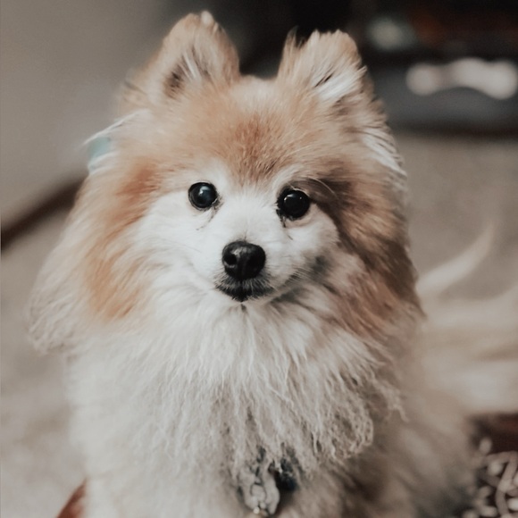 𝑴𝒆𝒆𝒕 𝑴𝒆❣︎❣︎ - Picture 5 of 9